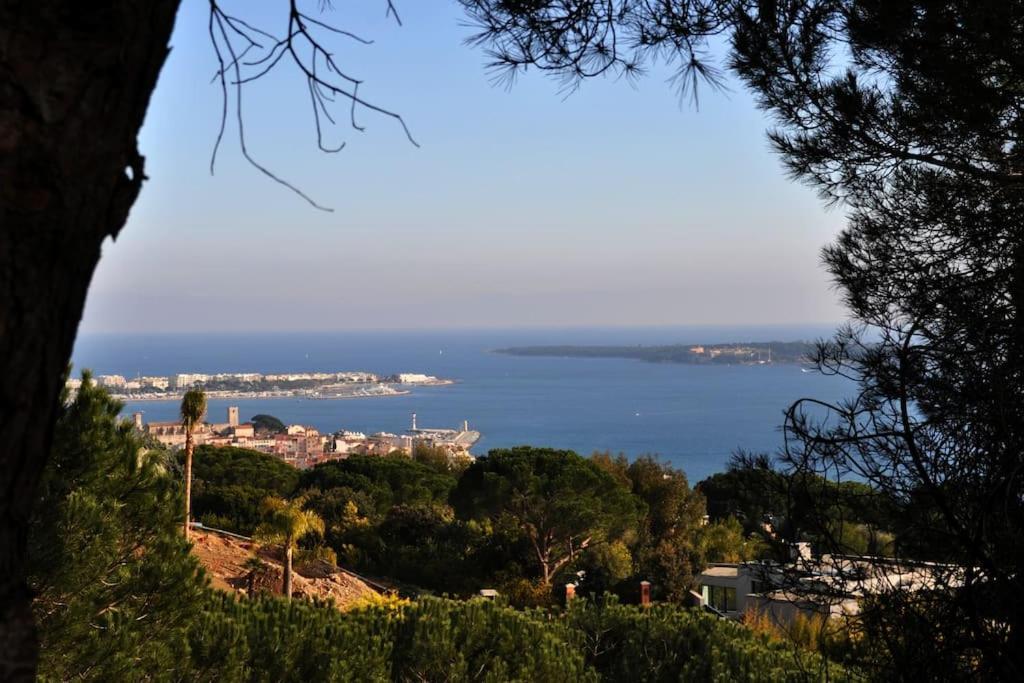Cannes Beach And Festival Palais Exteriör bild